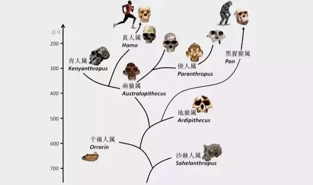 善自己 第115页