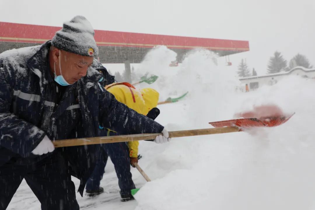 林口大雪实时更新，最新天气状况报告