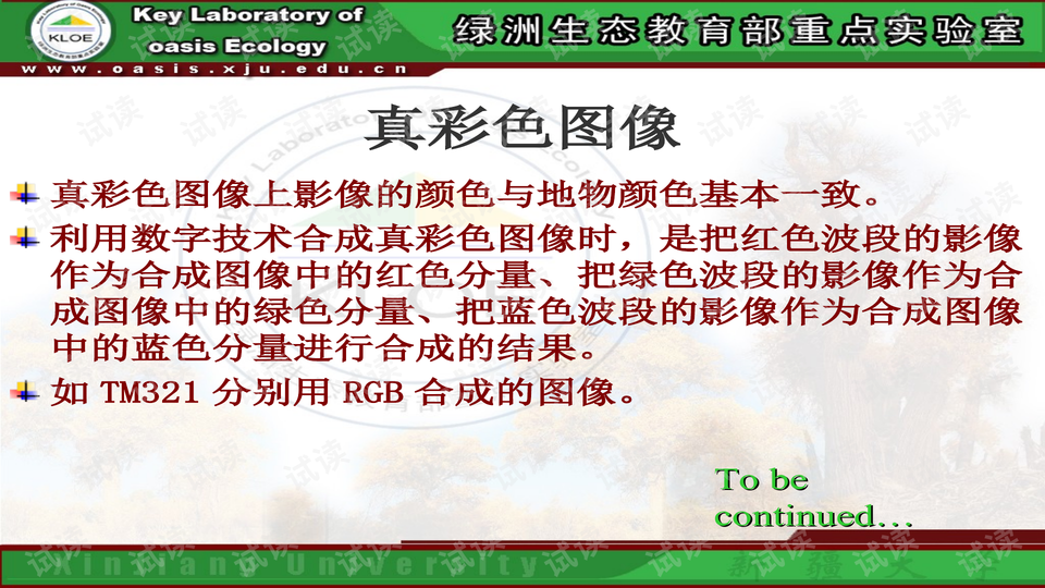 79456CC濠江论坛生肖,衡量解答解释落实_影像版13.744