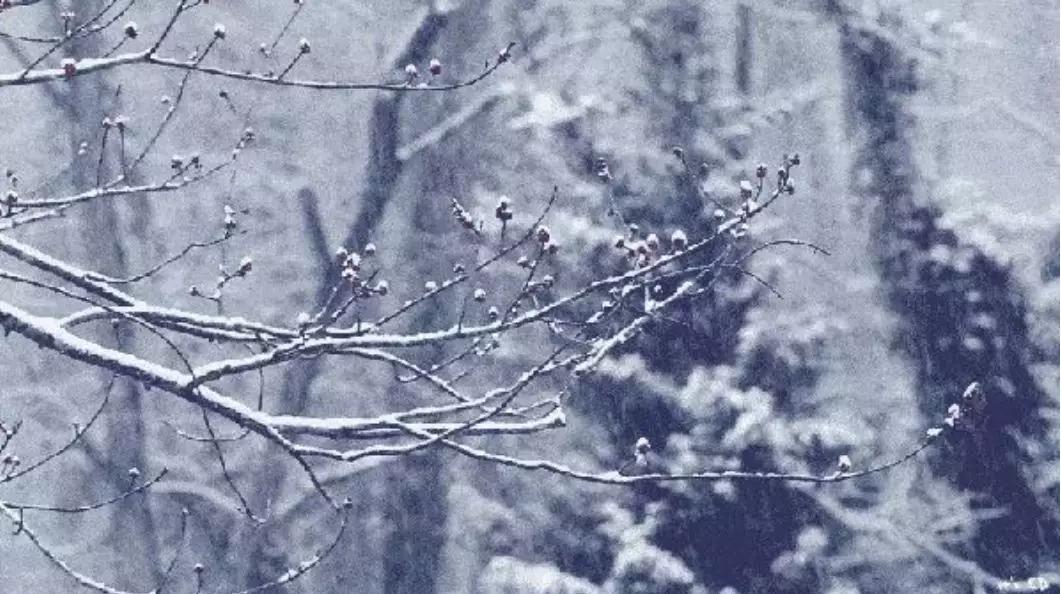 暴雪最新更新资讯，游戏迷翘首期待的重要通知