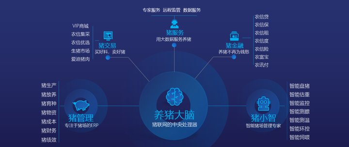 一码一肖100%精准,实地考察分析数据_X版19.35