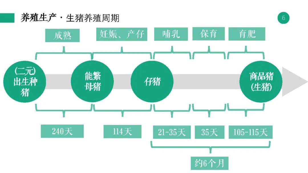 新澳最新最快资料新澳58期,实地分析解析说明_Tizen90.612