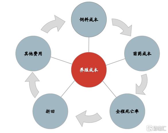 猪肉行业股市动态、趋势分析与投资机会探讨