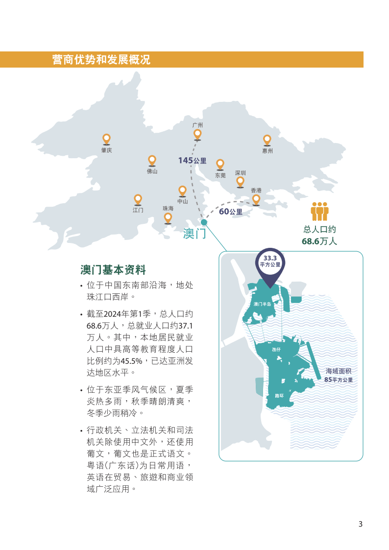 最精准澳门内部资料,战略性实施方案优化_安卓73.545