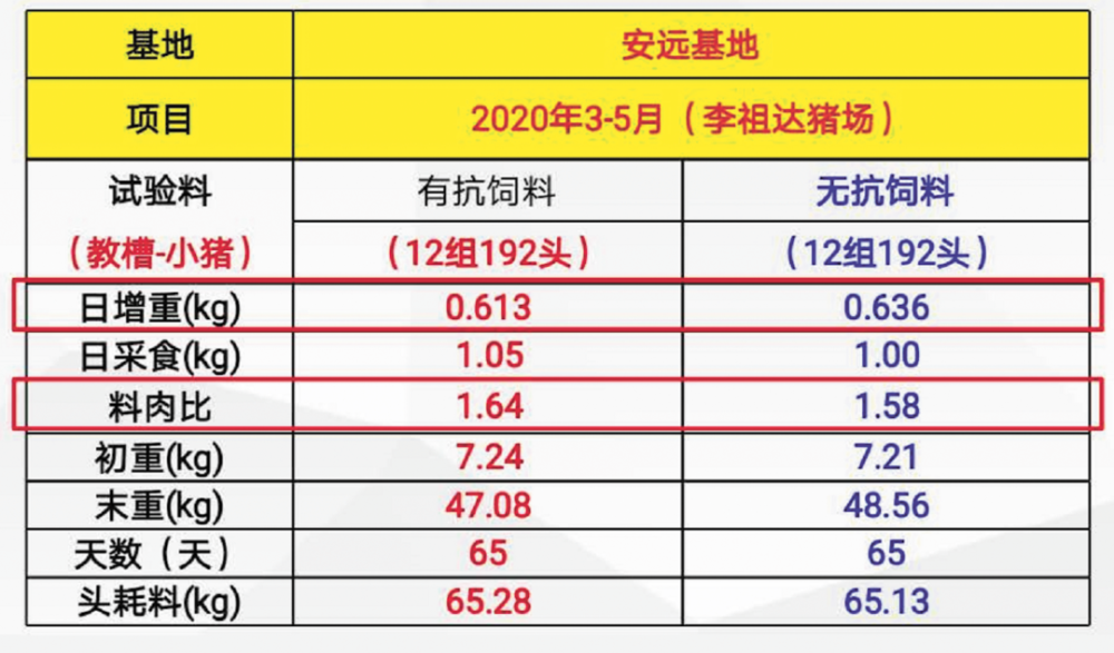 2024新澳门天天开奖免费资料大全最新,实地计划验证策略_精装版94.386