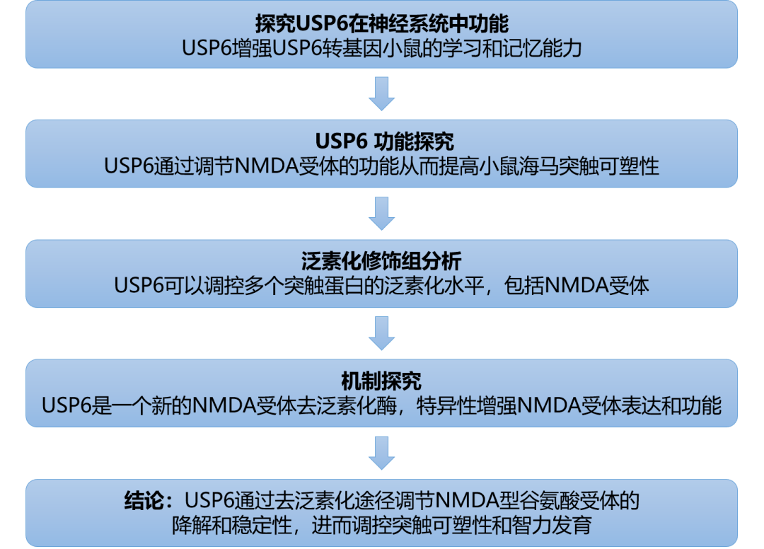 新奥精准资料免费提供(综合版) 最新,平衡指导策略_PalmOS12.881