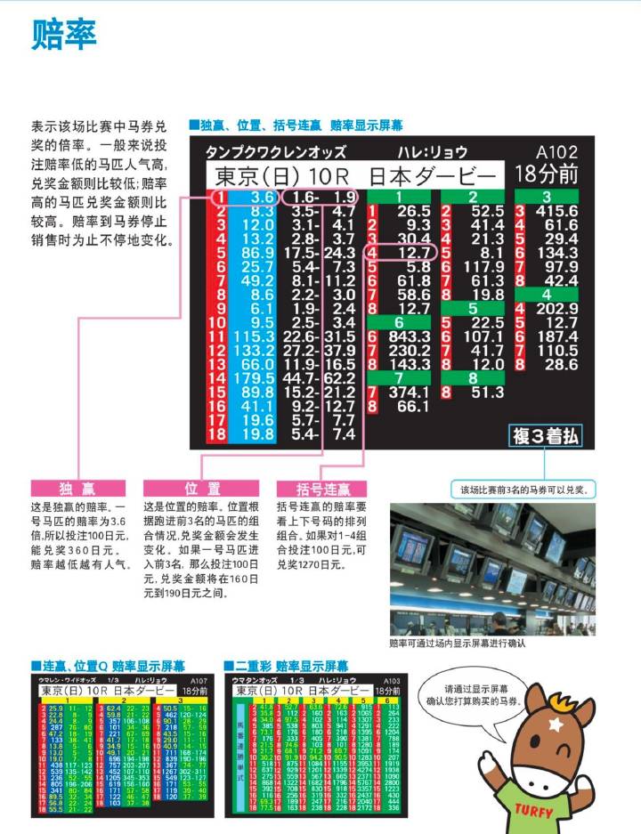 7777788888马会传真,数据整合方案实施_HT67.633