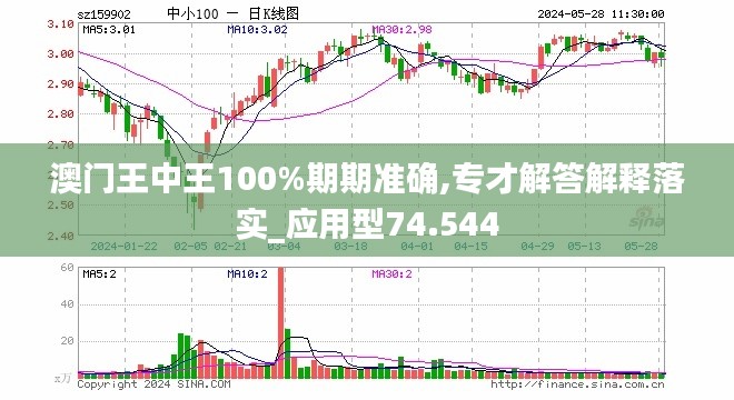 2024澳门王中王100%期期中,适用性策略设计_36076.422