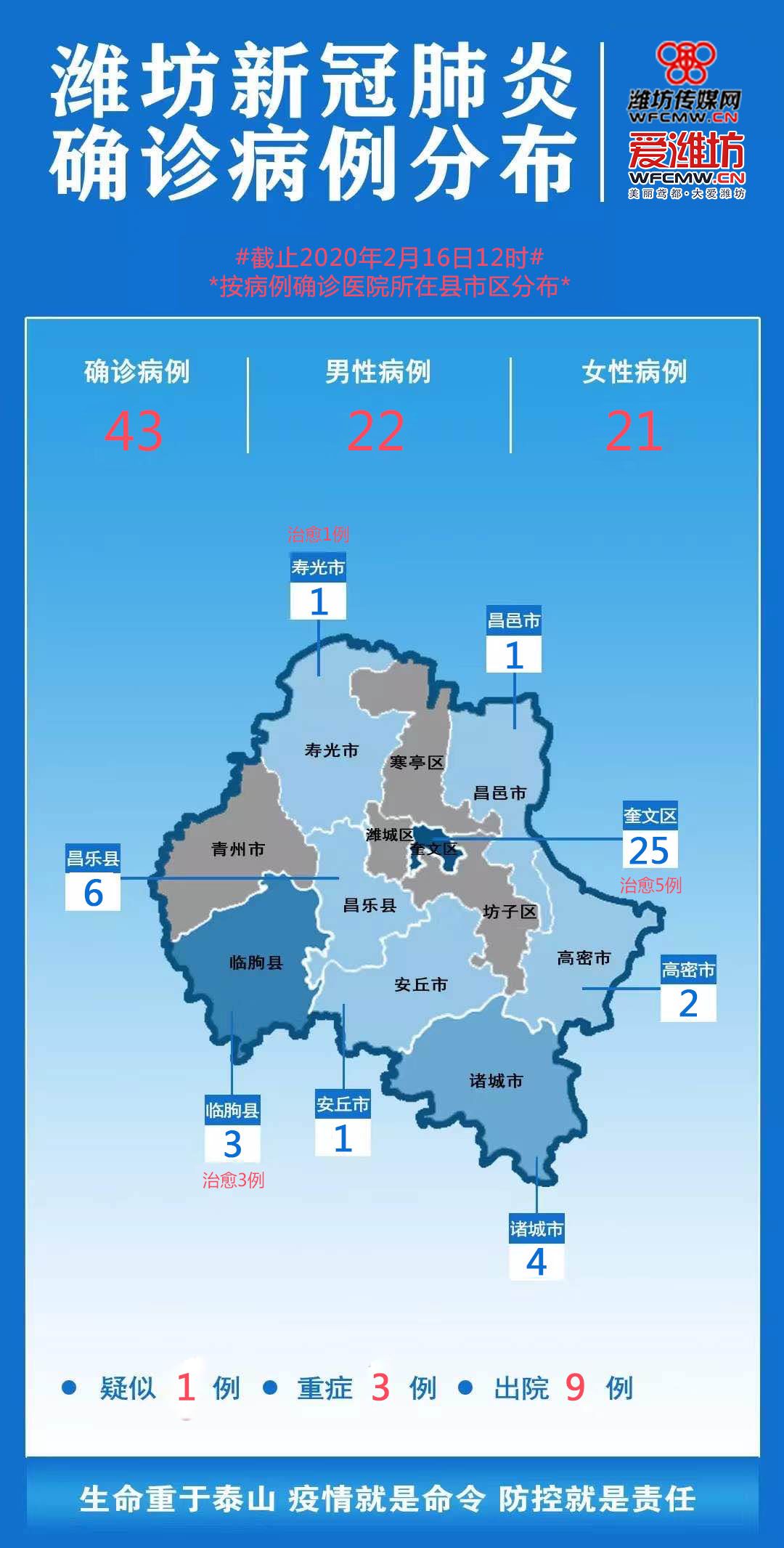 潍坊最新疫情动态报告，最新分析与观察