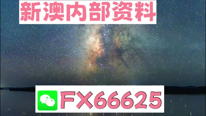 2024新澳天天彩免费资料大全查询,精准实施分析_粉丝版80.743