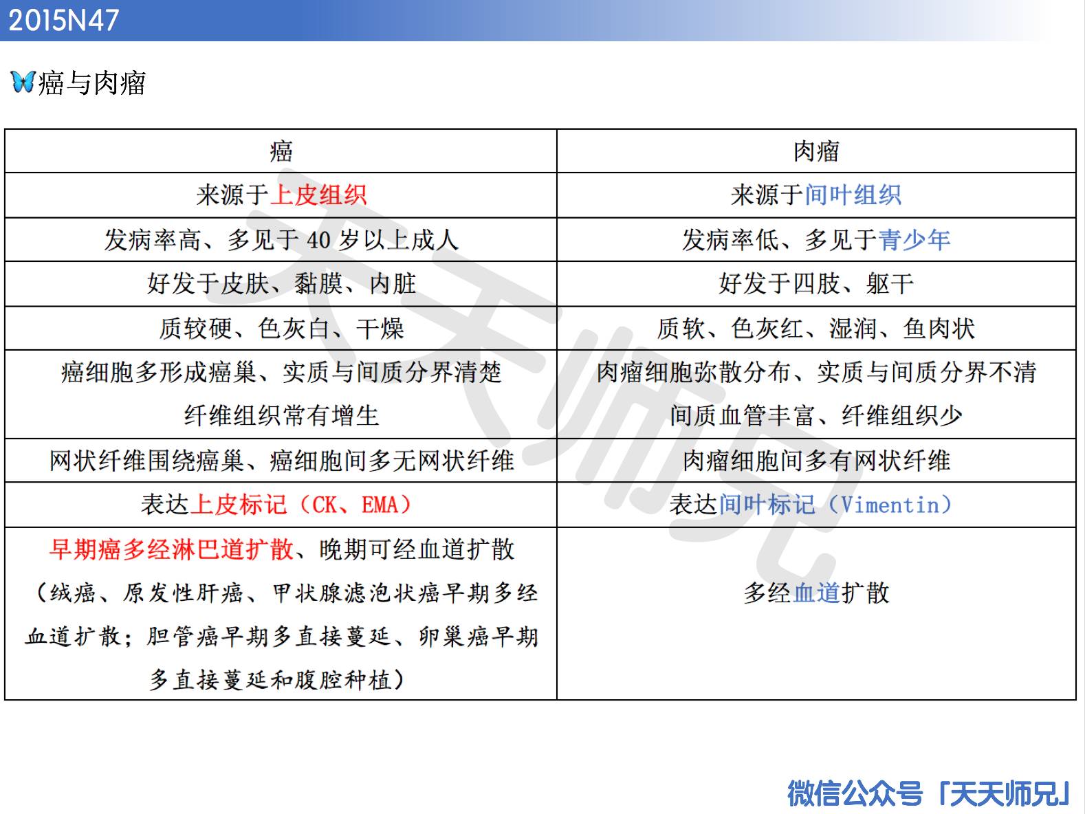 二四六天天好944cc彩资料全 免费一二四天彩,数据分析驱动执行_经典款17.414