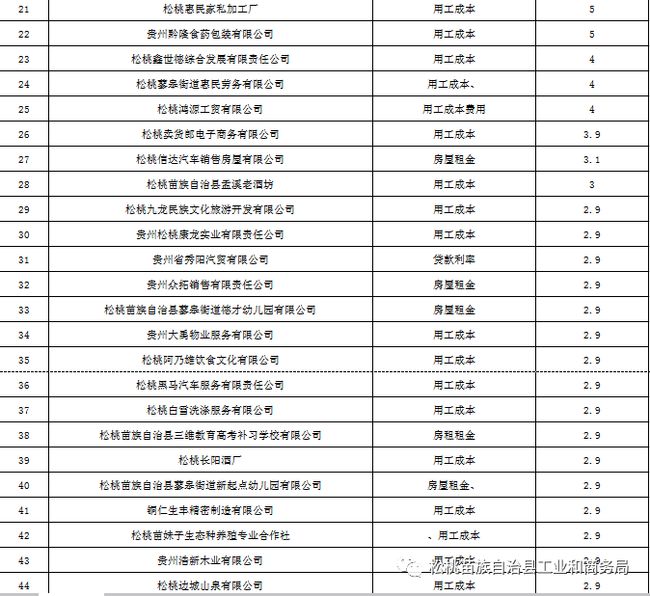 松桃负债最新概况与应对策略解析