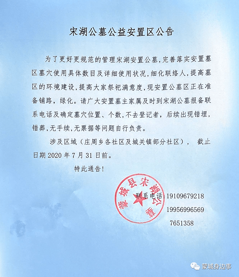 泰来引领未来发展新篇章，变革与创新公告发布