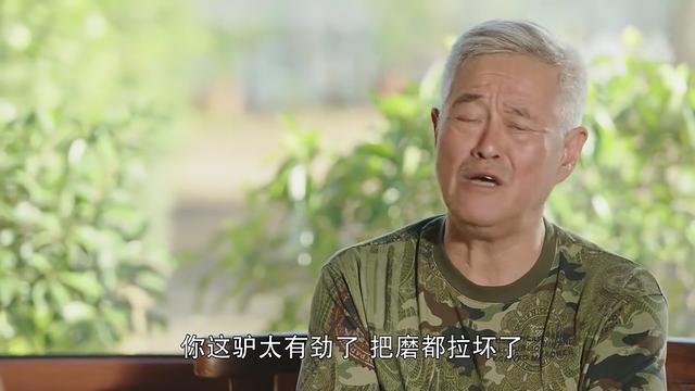 王大拿最新动态揭秘，探索无限可能的旅程