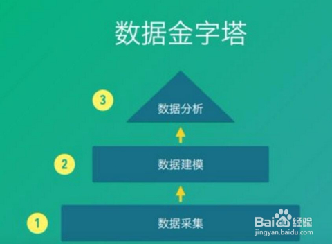 管家婆精准资料免费大全186期,数据分析驱动设计_运动版18.606