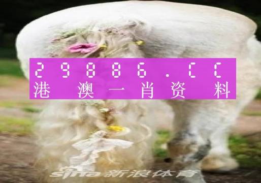 澳门一肖一码精准100王中王婪49图库,诠释分析解析_苹果版68.294