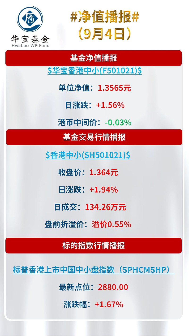 今日最新净值揭秘，市场变化解读与投资策略调整之道