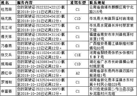 最新车管，革新力量引领车辆管理新时代