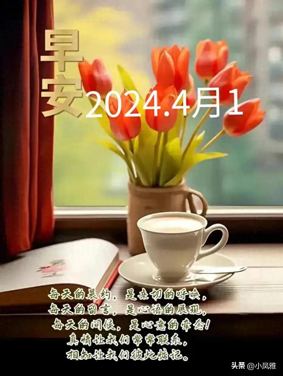 2024天天彩正版资料大全,经典解读说明_AR92.504