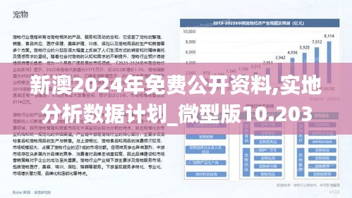 2024新澳最精准免费资料,深层计划数据实施_粉丝款80.715