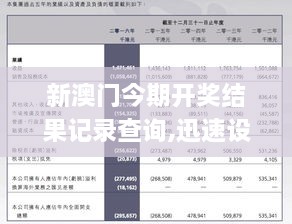 新澳门历史记录查询,专家解析说明_精装款38.645