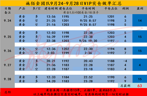 2024年正版资料免费大全最新版本下载,灵活设计操作方案_黄金版68.891