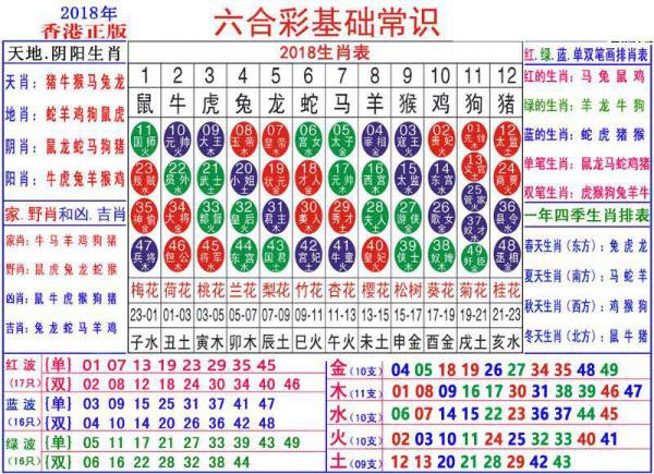 2024新澳门正版免费资料生肖卡,绝对经典解释定义_MT75.341