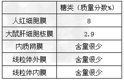 2024年12月18日 第24页