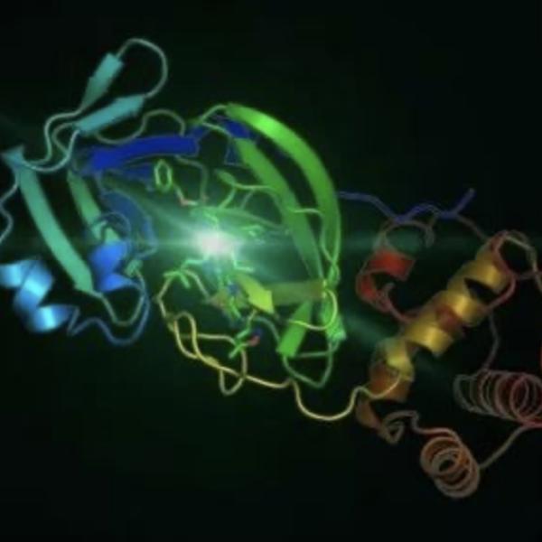 CL最新ID，数字世界的新标识探索