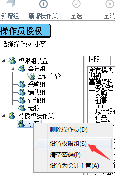 2024年管家婆资料正版大全,实效设计解析_界面版31.852