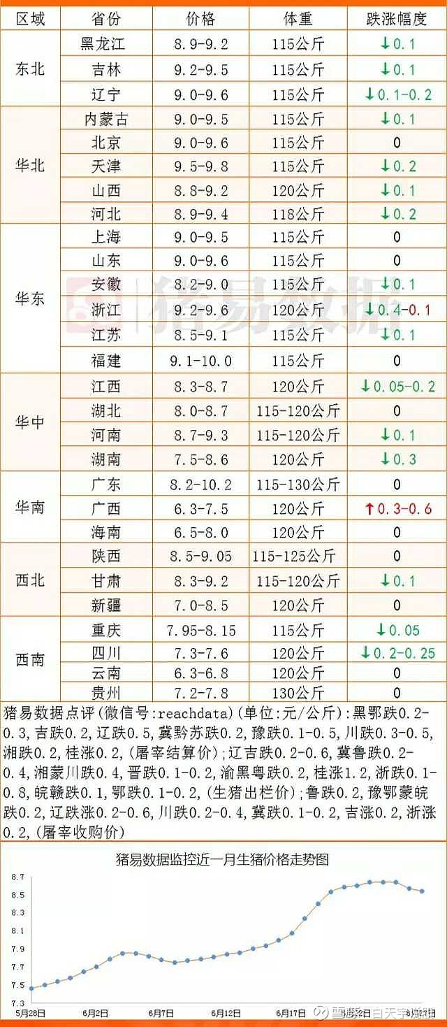 小猪价格最新动态分析