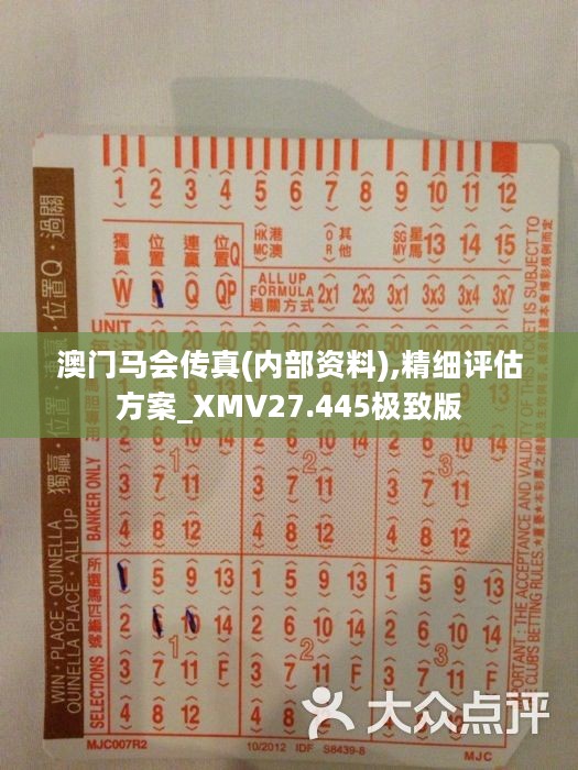 香港正版马会传真绝密信封,实践调查解析说明_WP版82.250