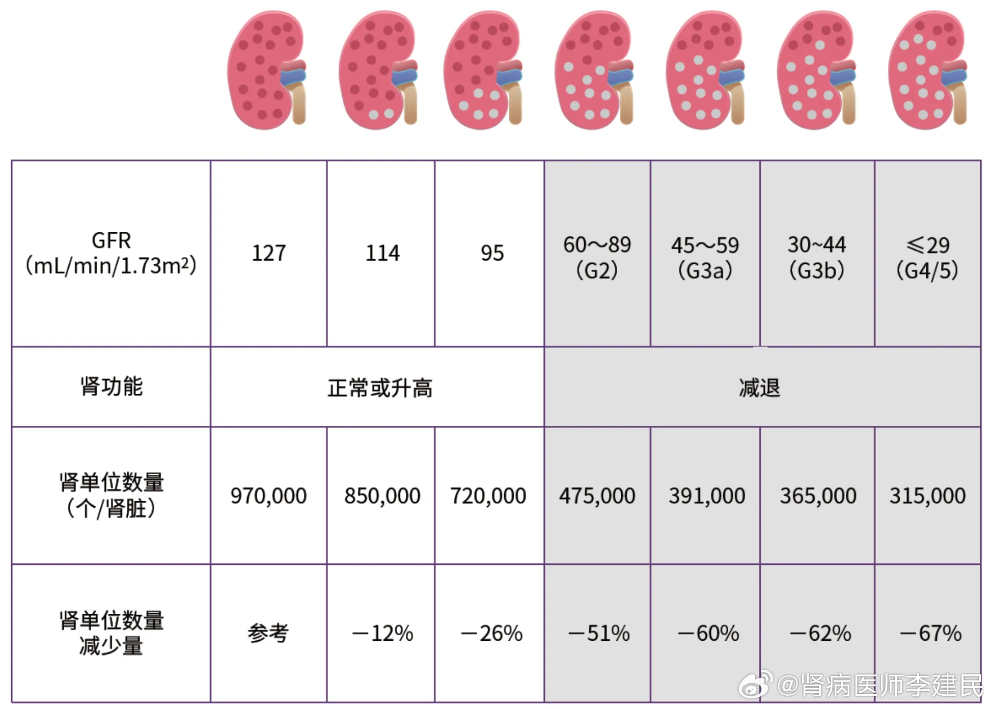 IGA肾病治疗领域最新突破研究与应用探索