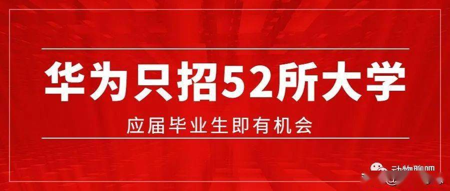 最新校招趋势深度解析，机遇与挑战并存的时代探索