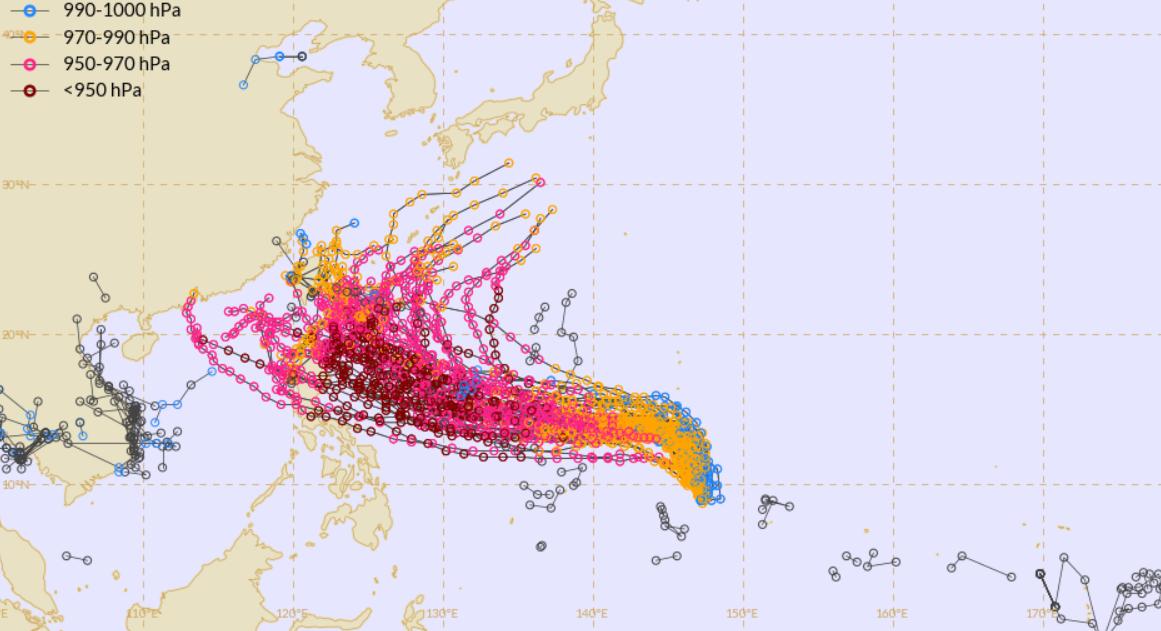 台风玛娃最新动态，实时分析、应对策略及影响概述