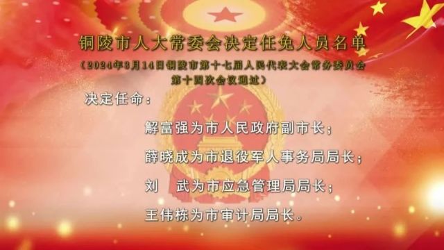 铜陵最新人事任免动态概览