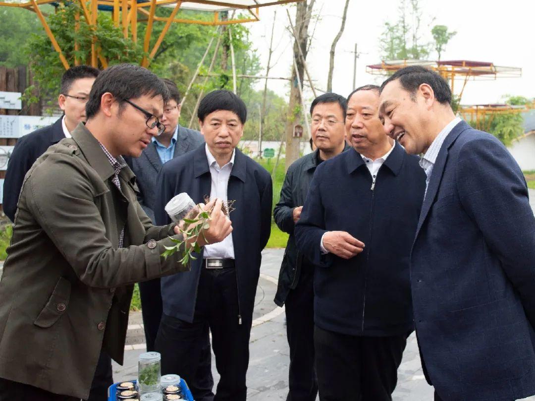 孟河小黄山生态修复与旅游发展最新进展揭秘