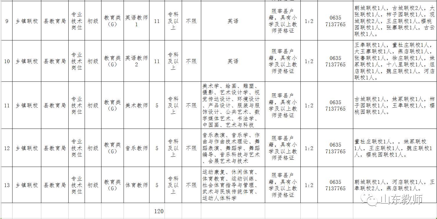 莘县教师编最新信息全面解析